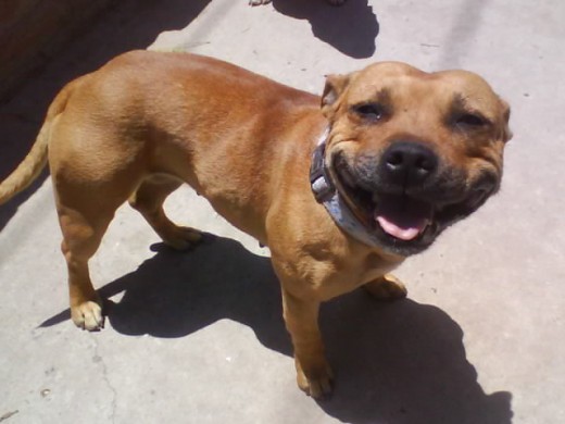sonriendo
sonriendo